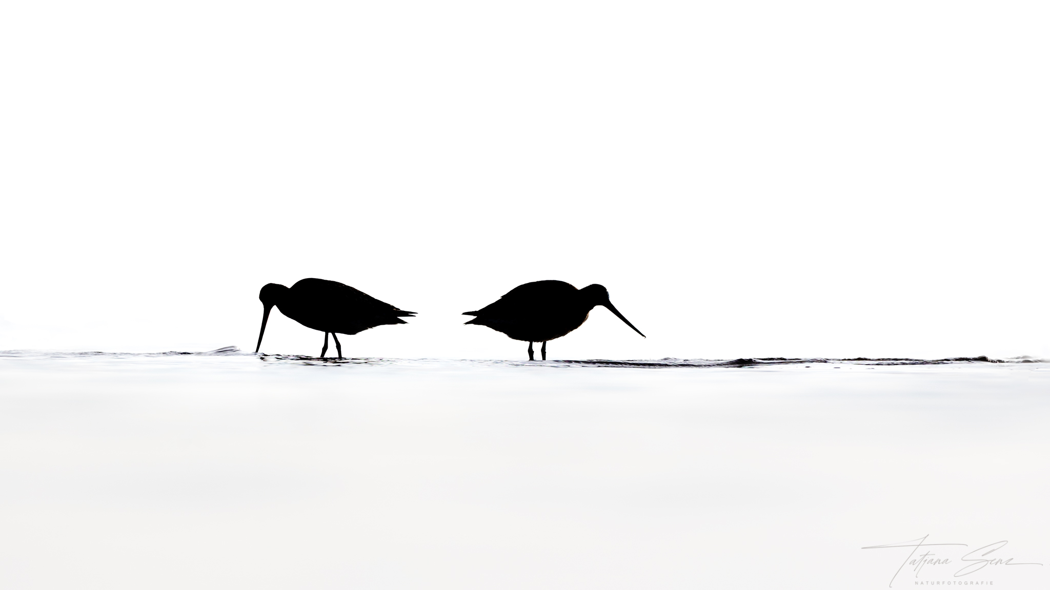 PFUHLSCHNEPFE DAS DUO